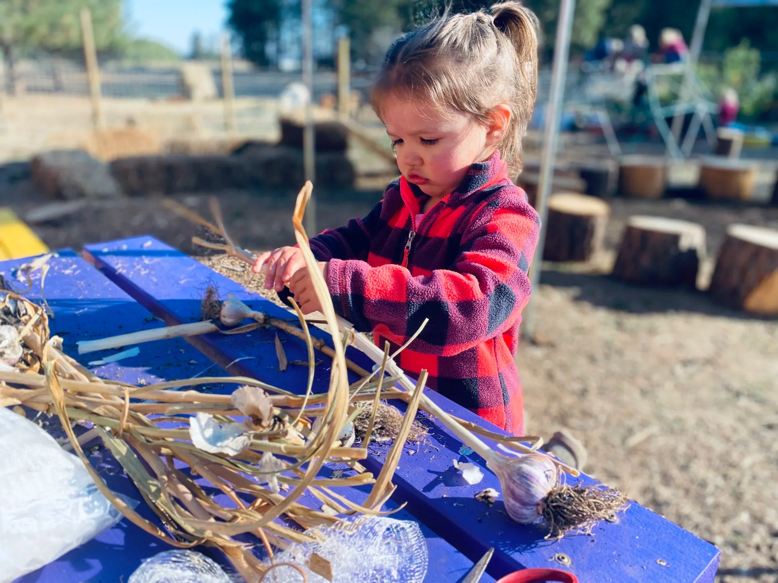 A child arranging dried plants on the art table
