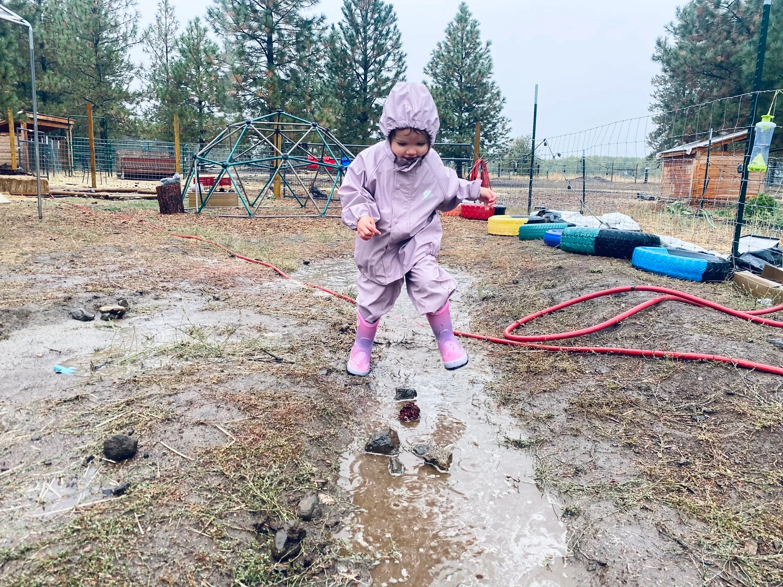 A child in a purple rain suit jumping in a puddle