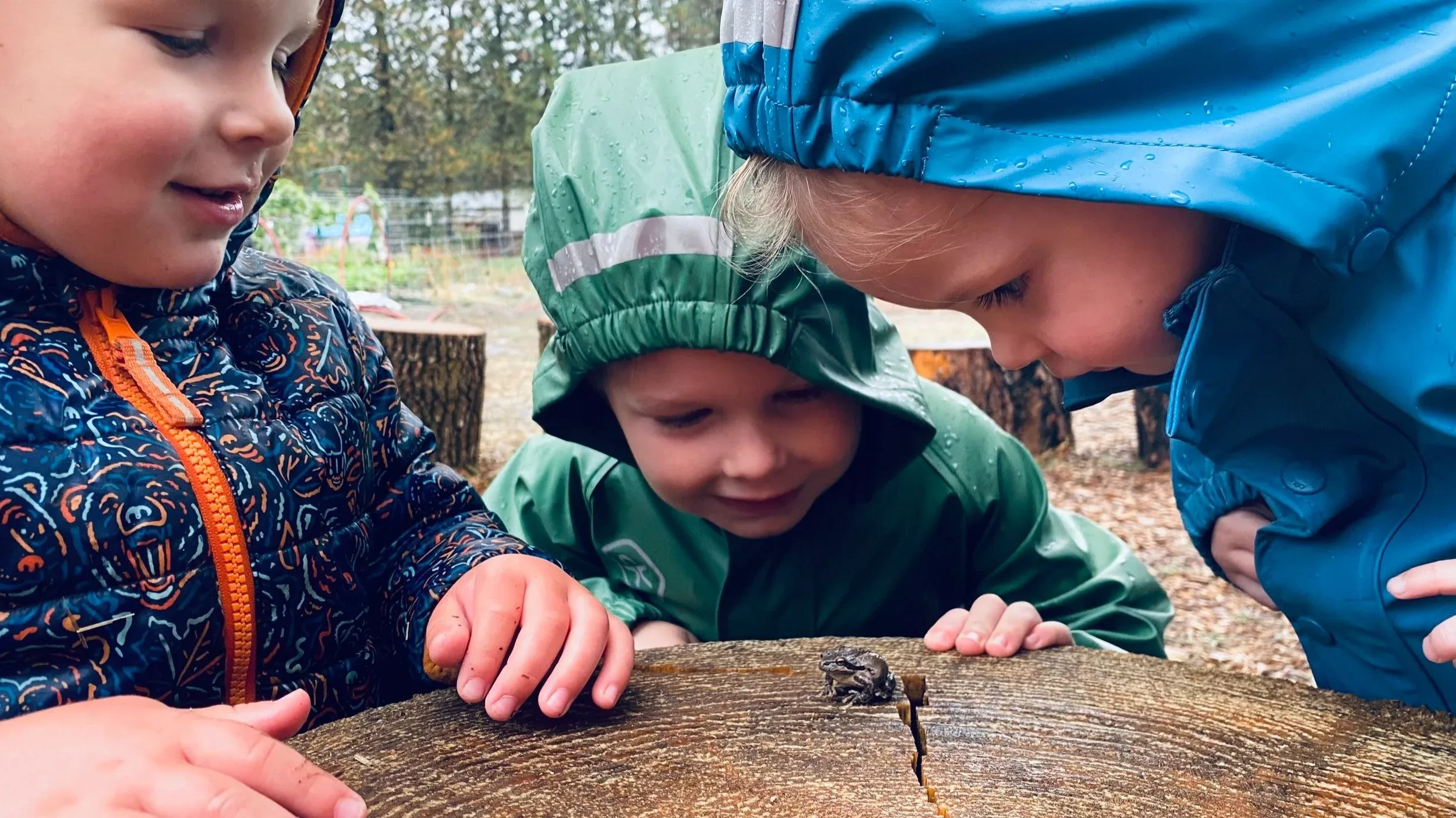 Three children leaning in to look closely at something on a log
