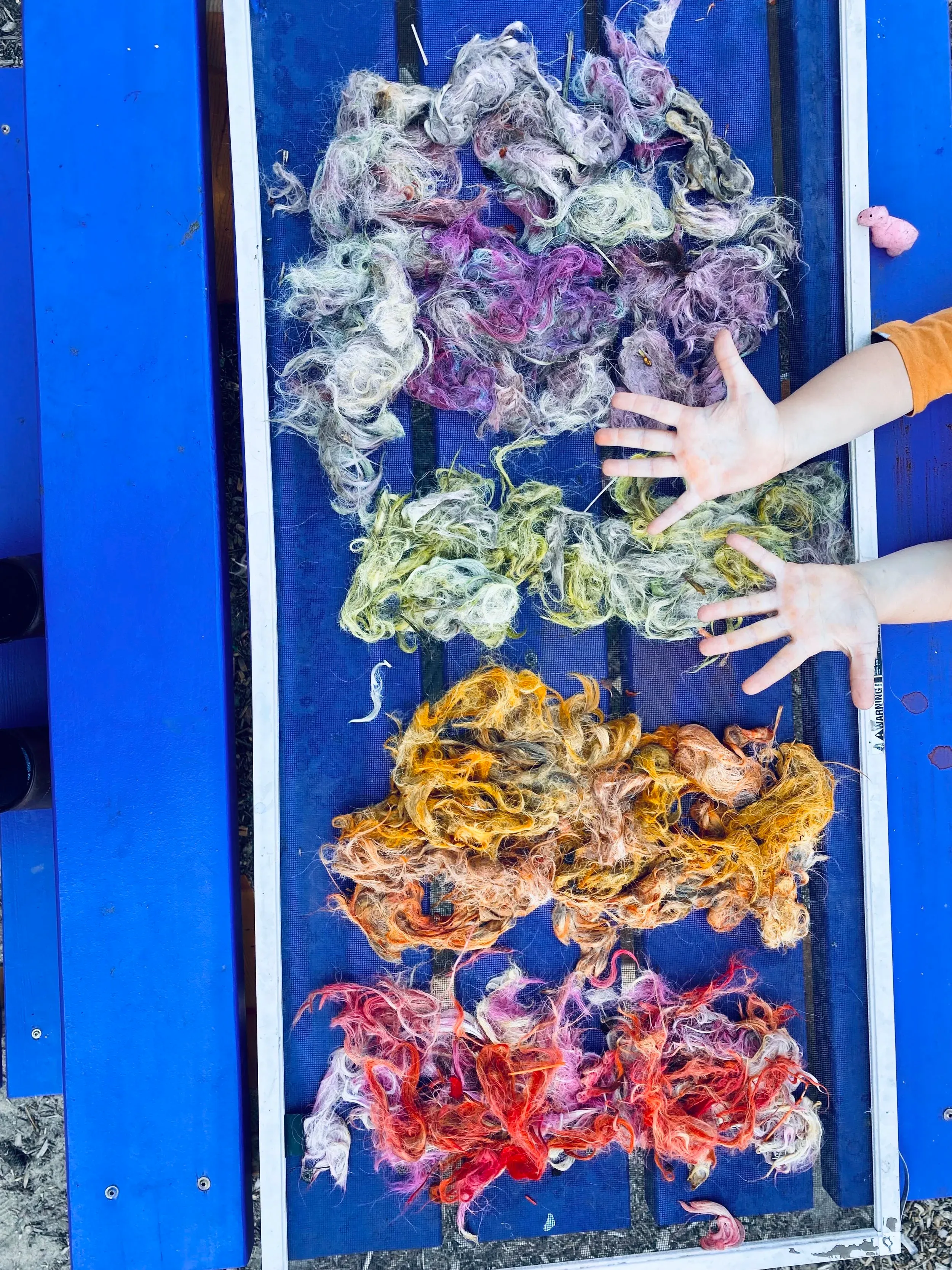 Hand-dyed wool in purple, yellow, orange and red drying on a board